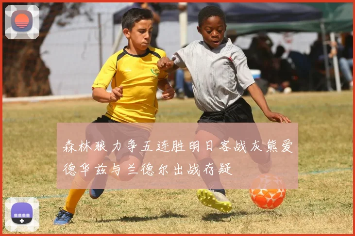 森林狼力争五连胜明日客战灰熊爱德华兹与兰德尔出战存疑