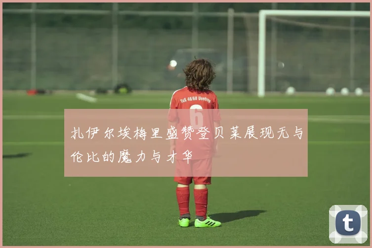 扎伊尔埃梅里盛赞登贝莱展现无与伦比的魔力与才华