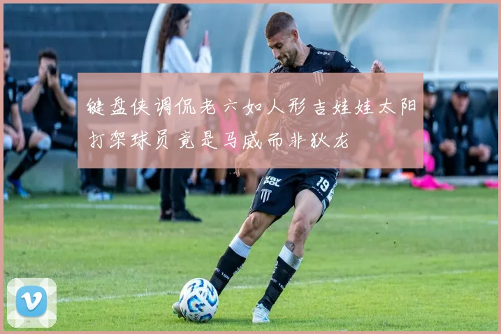 键盘侠调侃老六如人形吉娃娃太阳打架球员竟是马威而非狄龙