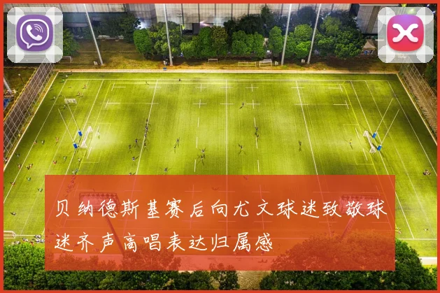 贝纳德斯基赛后向尤文球迷致敬球迷齐声高唱表达归属感