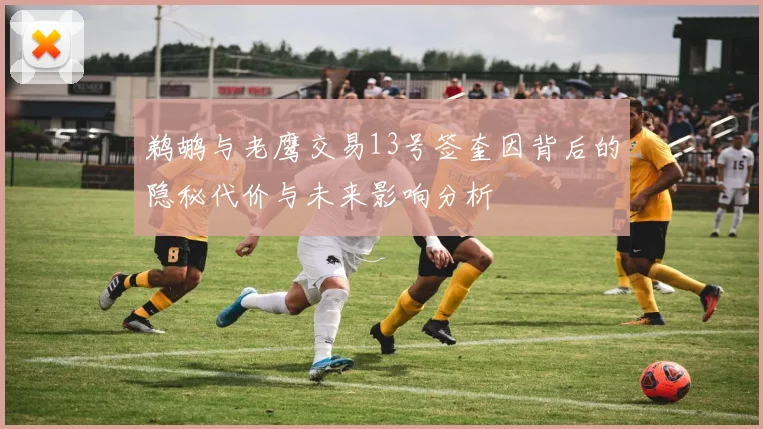 鹈鹕与老鹰交易13号签奎因背后的隐秘代价与未来影响分析