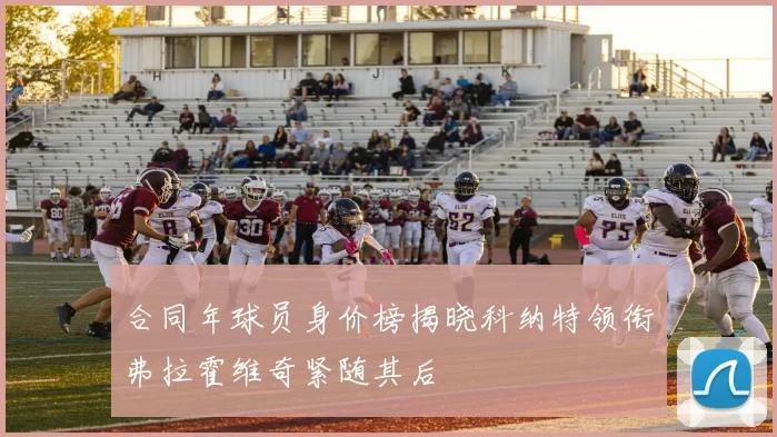 合同年球员身价榜揭晓科纳特领衔弗拉霍维奇紧随其后