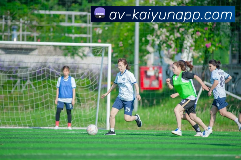 开云体育平台生态图